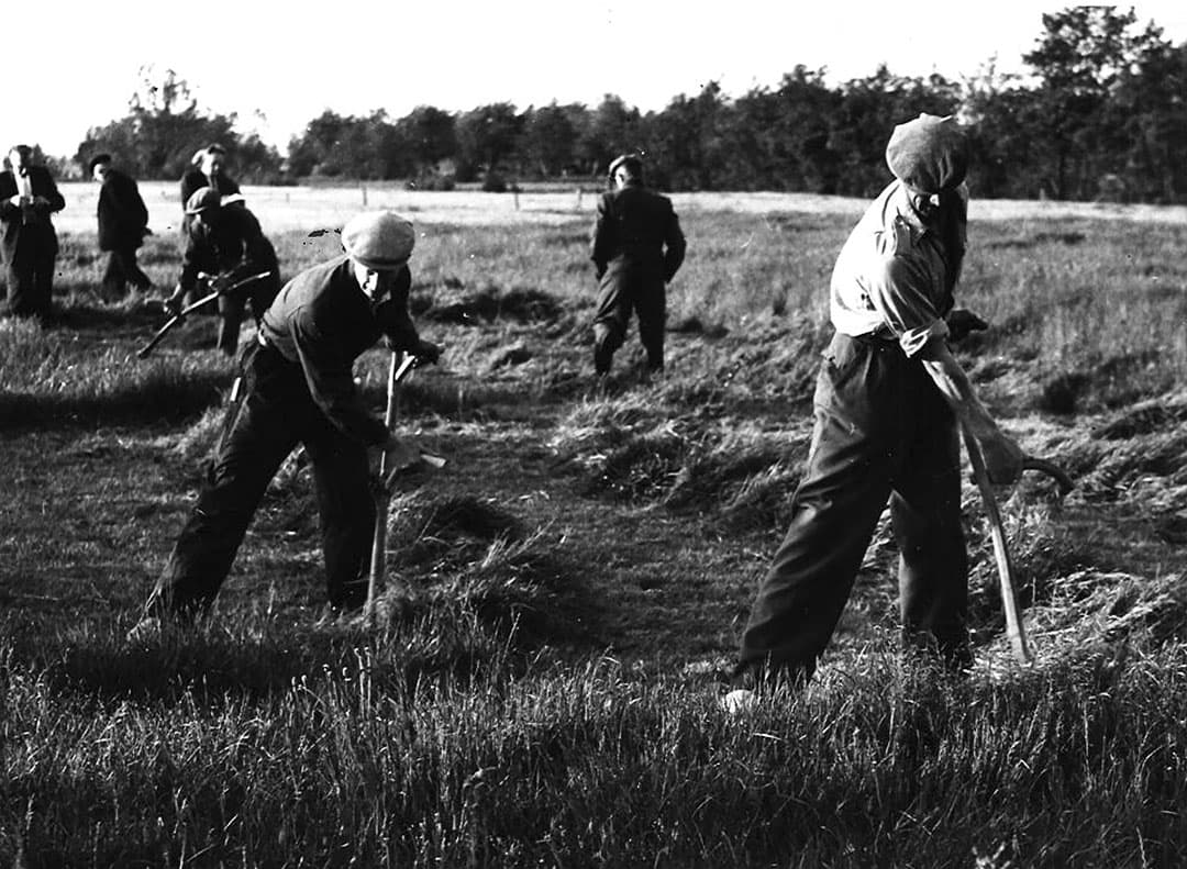 Een zeiscursus in 1959 moest de vaardigheid om met de zeis te kunnen maaien in de benen houden. Toch raakte de maaimethode op de achtergrond. De laatste jaren is er weer belangstelling voor. Niet beroepsmatig maar als oud ambacht. Jaarlijks zijn er wel ergens wedstrijden.