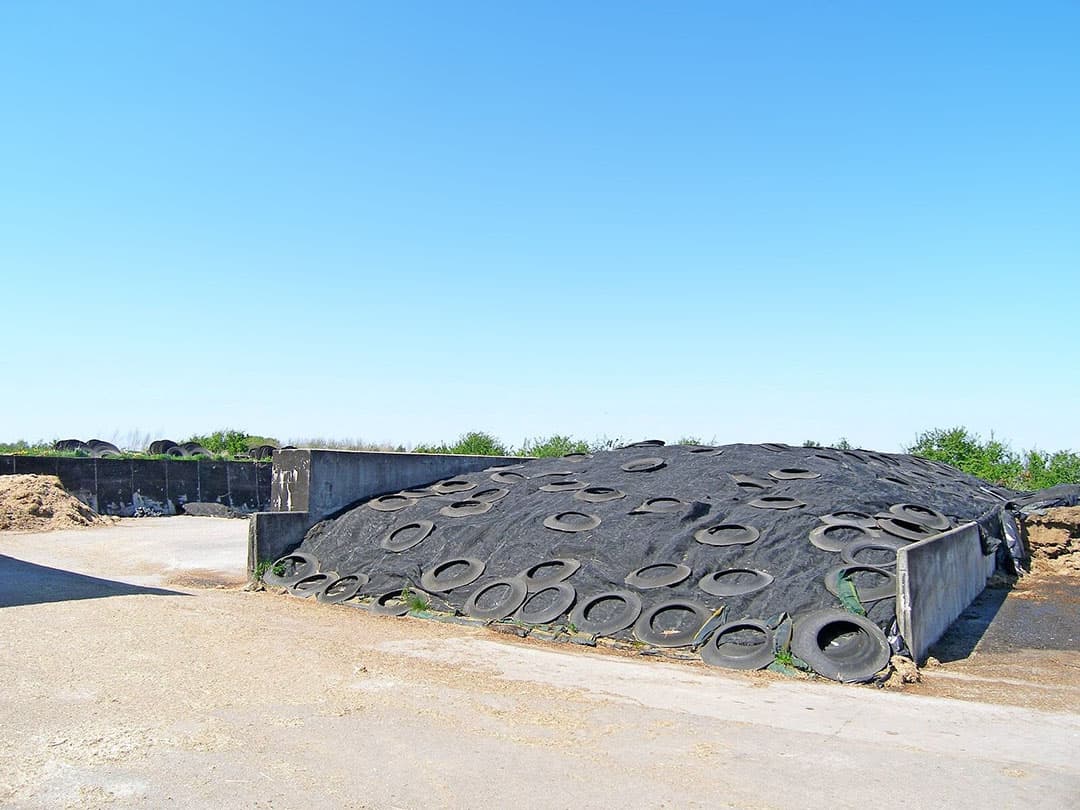 Op het erf liggen twee sleufsilo’s. De grootste meet 18 bij 35 meter. De kleine heeft een afmeting van 10 bij 35 meter, totaal dus bijna 1.000 m2 opslag.