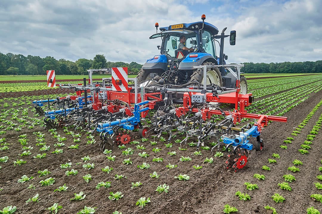 Tussen de rijen wieden is geen probleem. In de rij gaat tegenwoordig ook steeds beter, maar het is nog steeds een nichemarkt.