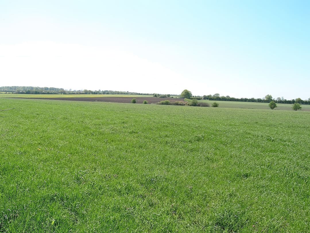 Bij het bedrijf zit 68 hectare landbouwgrond. De grond kan als leemhoudend zand worden omschreven. Ondanks het glooiende gebied zijn de percelen nagenoeg vlak en ploegbaar. - Foto's: Wagenvoort Advies