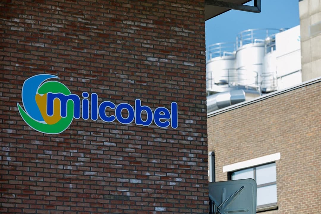 Na minimaal 2 contractjaren krijgen de leveranciers de mogelijkheid om lid te worden van de coöperatie Milcobel. - Foto: ANP