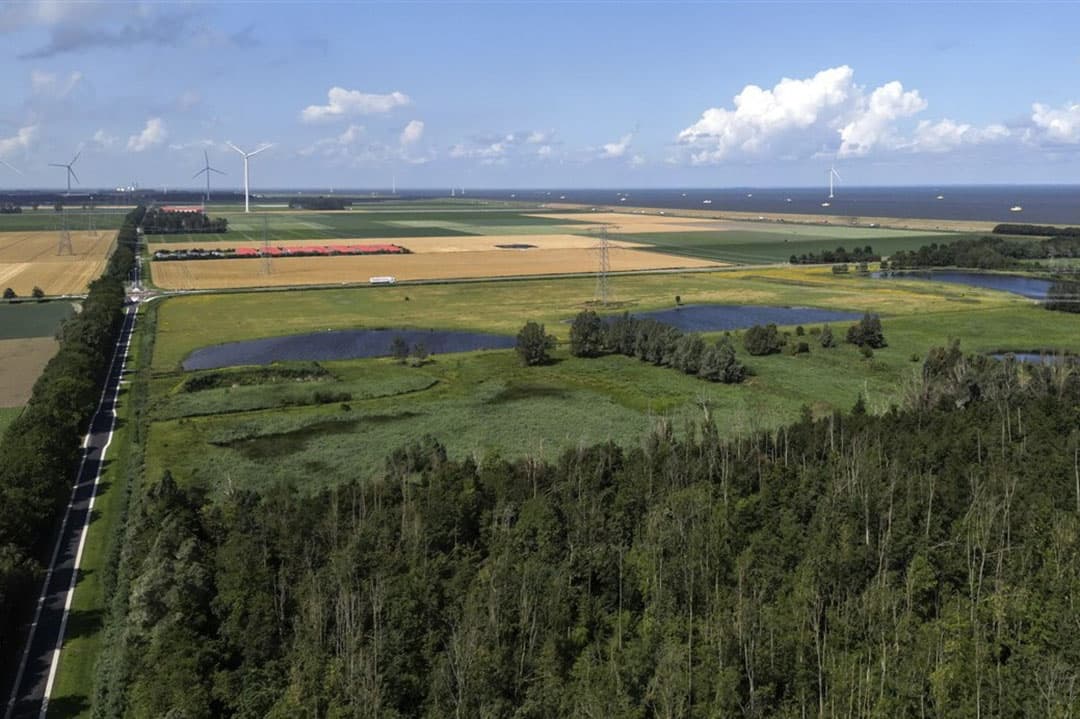 De Natuurherstelwet verplicht lidstaten om leefgebieden van kwetsbare planten en dieren te herstellen en niet te laten verslechteren. - Foto: ANP