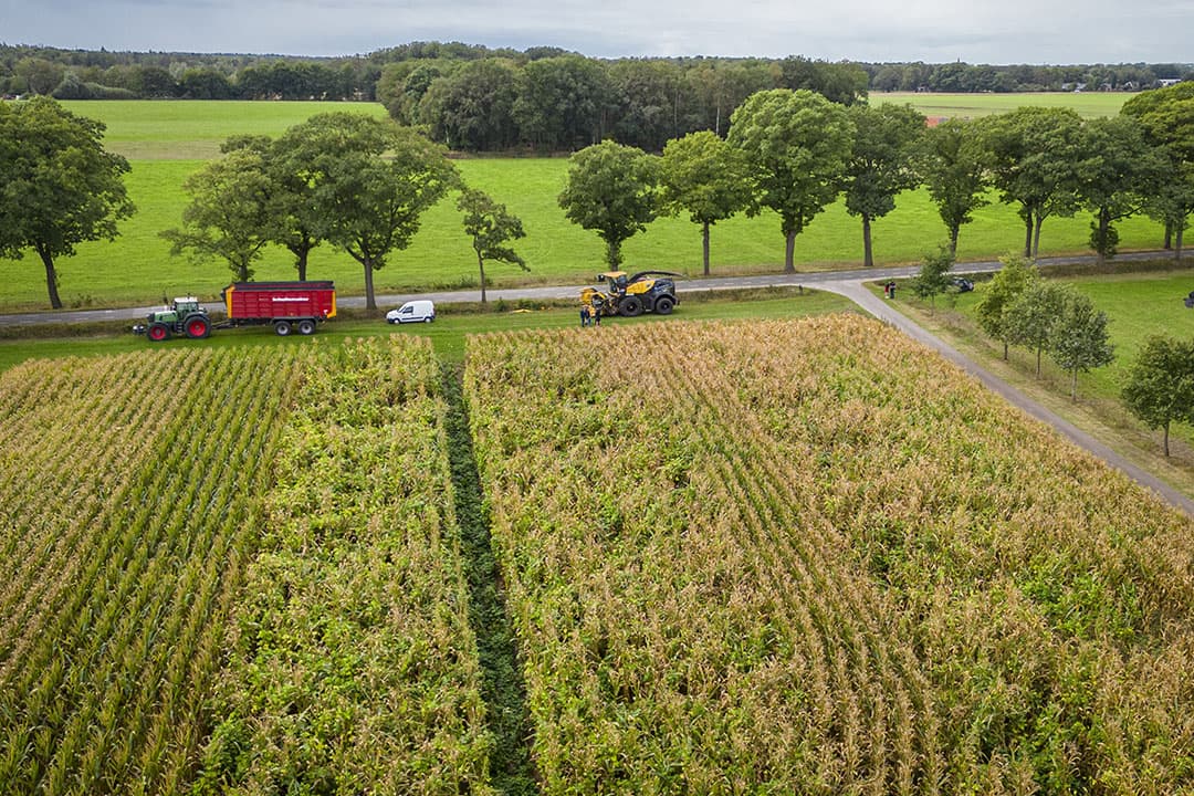 Foto: Koos Groenewold