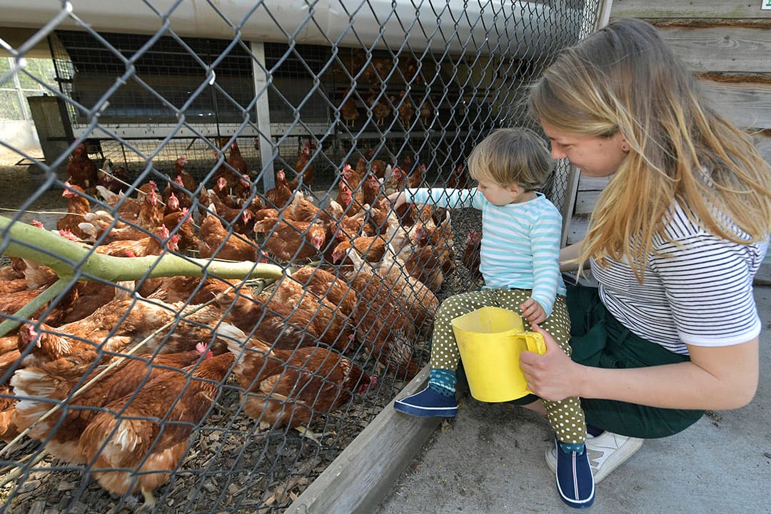 Een open dag is een ideale manier om mensen te laten zien wat er werkelijk gebeurt op een boerderij. - Foto: Cor Salverius Fotografie