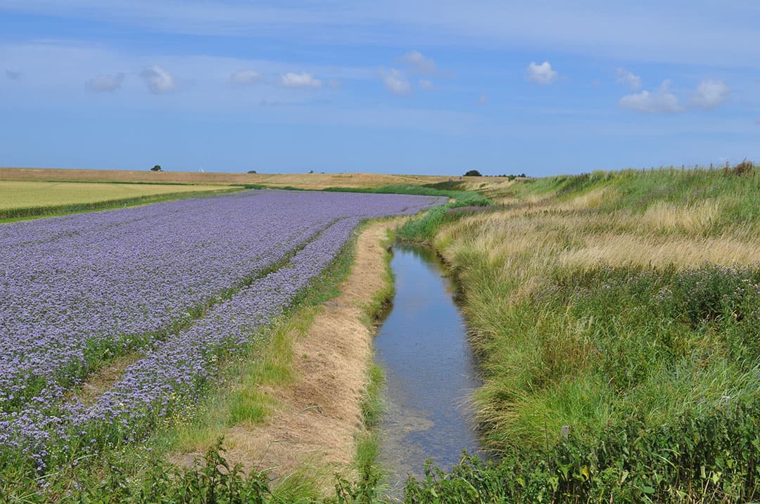 zoet water akkerbouw