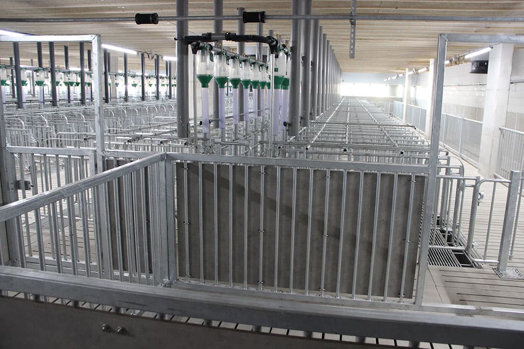 Voor in de dekstal zijn enkele hokken voor zoekberen. De berengang voor de zeugenboxen is voorzien van poortjes. Na inseminatie blijven de zeugen drie weken in de wachtruimte. Die vormt een geheel met de dekstal. In de wachtruimte is gekozen voor voerligboxen met uitloop. De volgende bestemming is de zeugenstal.