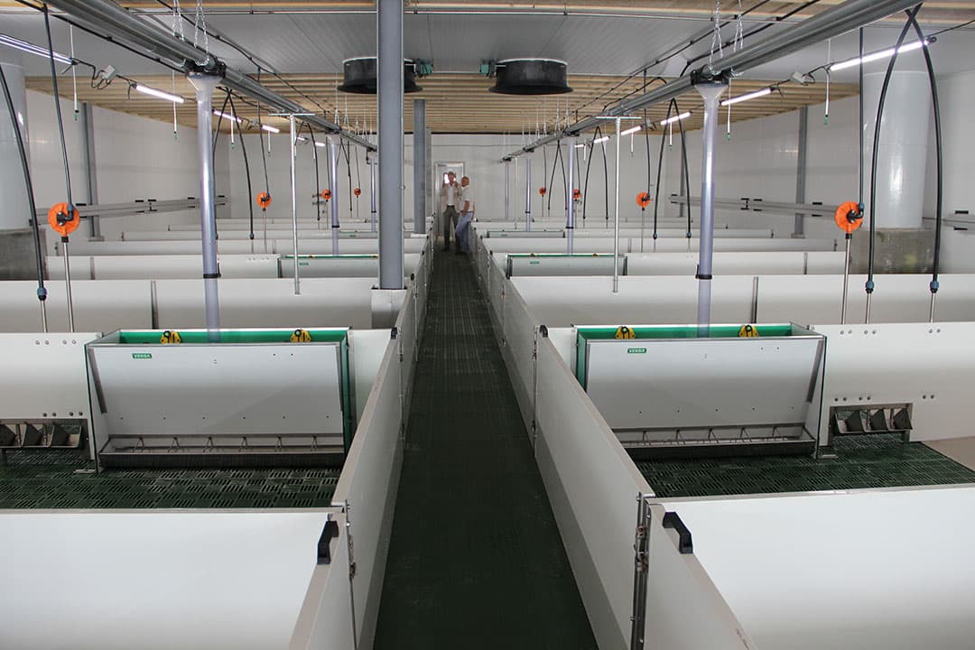De biggen liggen op de etage. Er kunnen twee voersoorten worden verstrekt. Ook is een vlotter gemonteerd boven elke drinktrog, zodat de net gespeende biggen makkelijk bij het water kunnen.