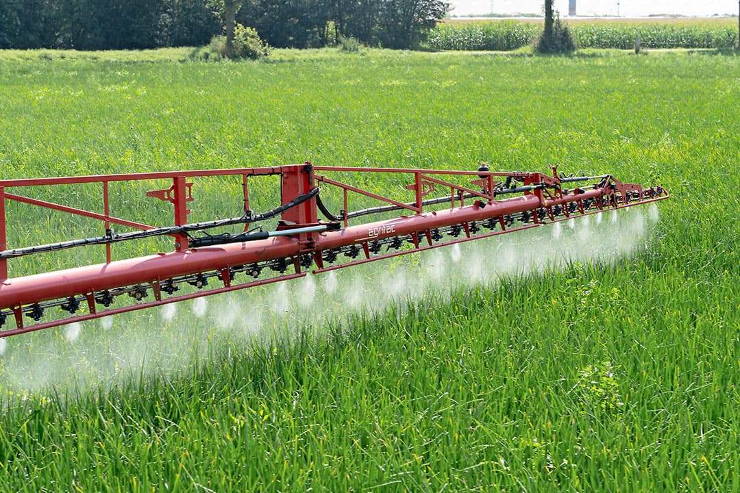 De Europese regels voor gewasbescherming zorgen voor inkomstenderving in de Nederlandse land- en tuinbouw. - Foto: Jan Willem Schouten