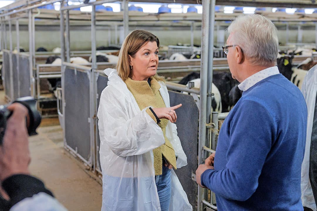Minister Van der Wal brengt een werkbezoek aan een kalverhouder in de Gelderse Vallei. - Foto: Herbert Wiggerman