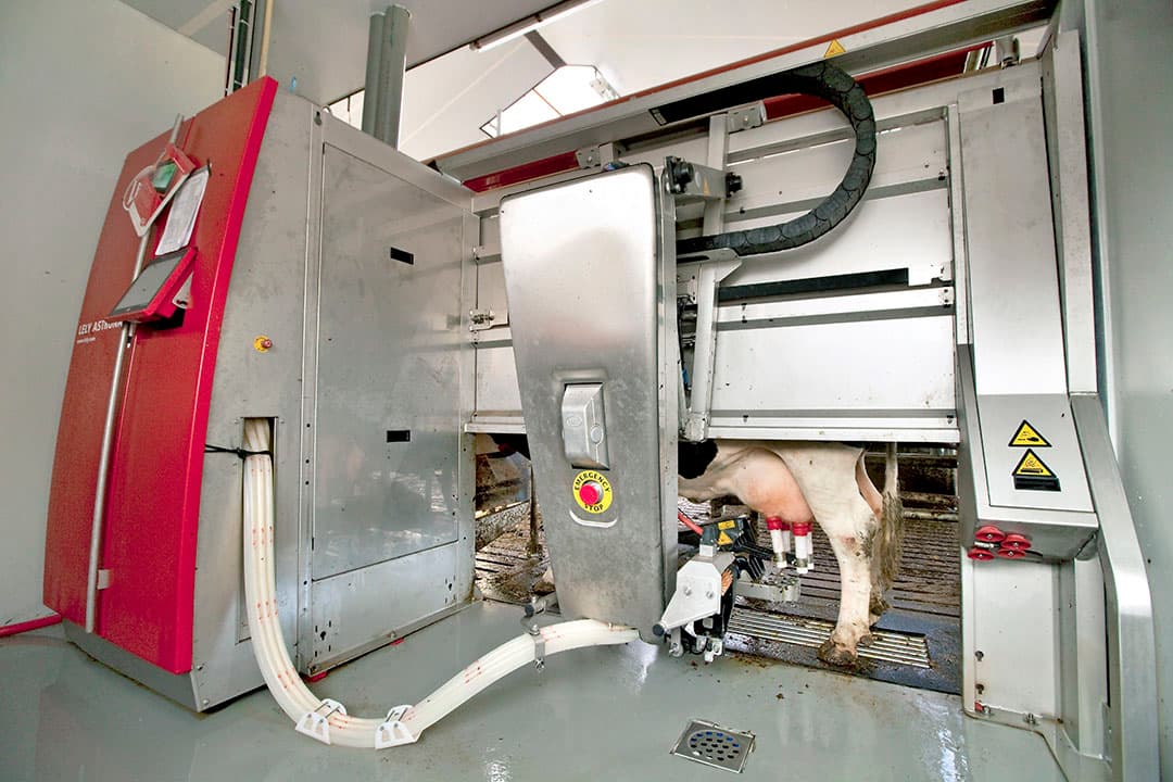 Lely verlies