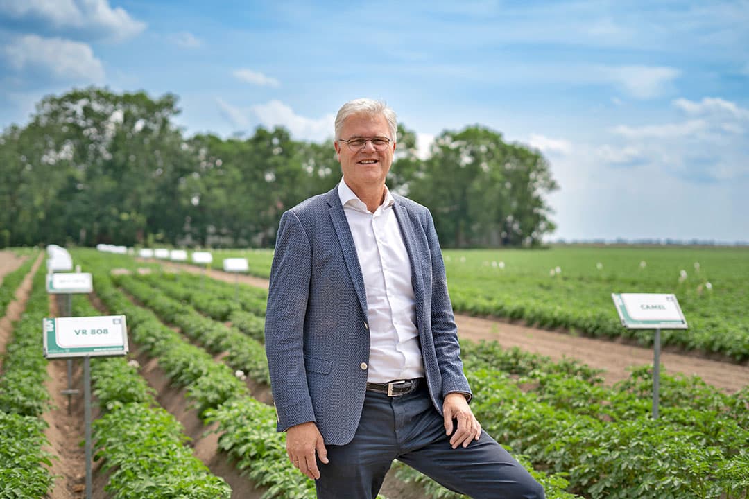 aardappelhandelshuis Stet