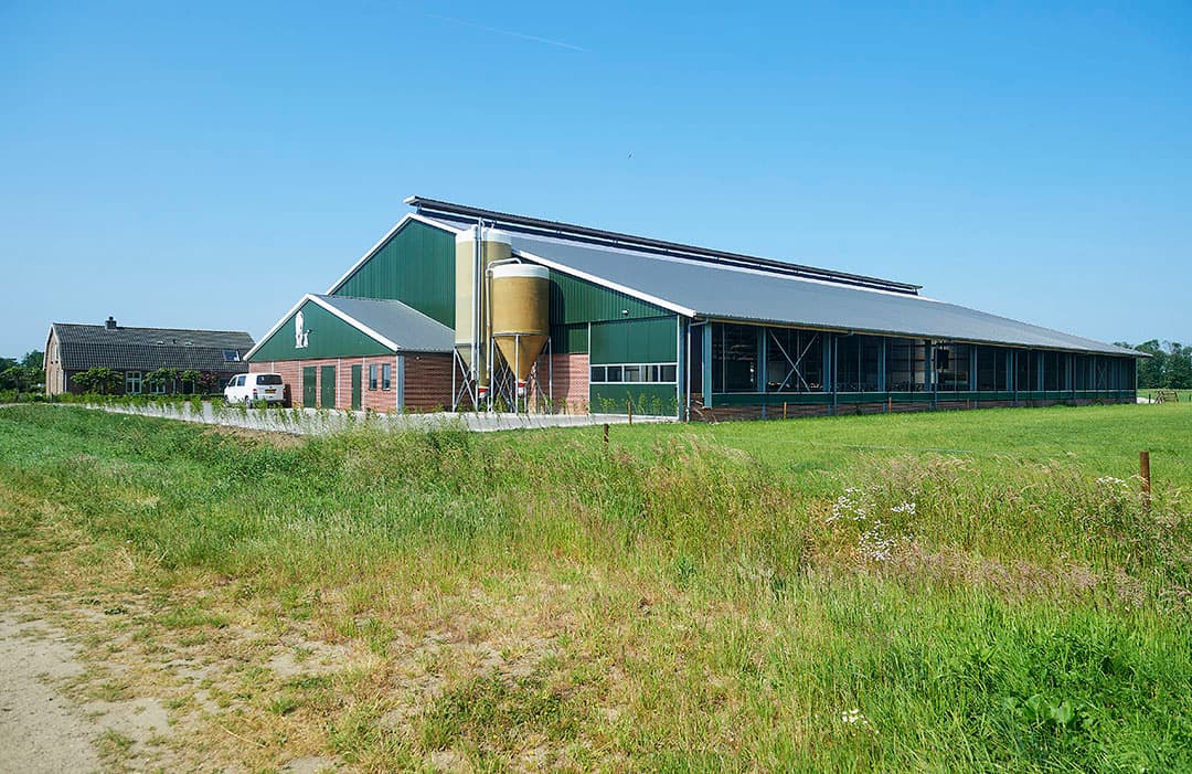 De nieuwe melkveestal is in september 2022 in gebruik genomen. Sinds 2020 worden de koeien gemolken met robots.