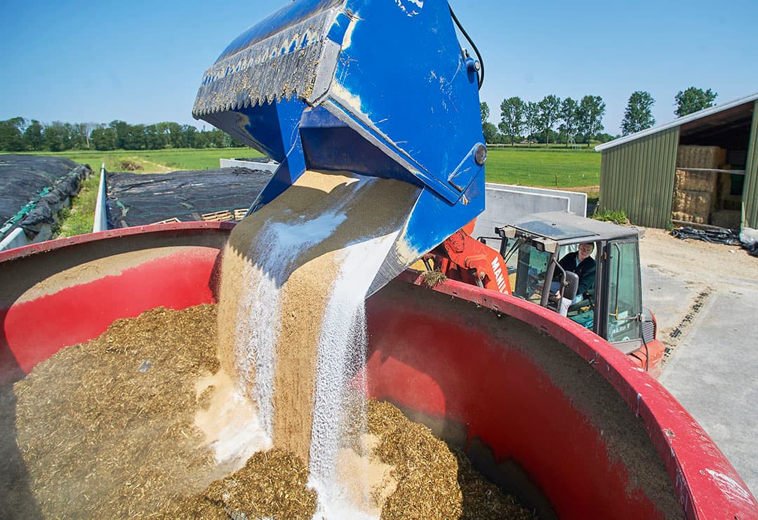 Het lossen van het mengsel soja en vet in de voermengwagen. Daarna zorgt Peer dat dit goed door het basisrantsoen wordt gemengd.