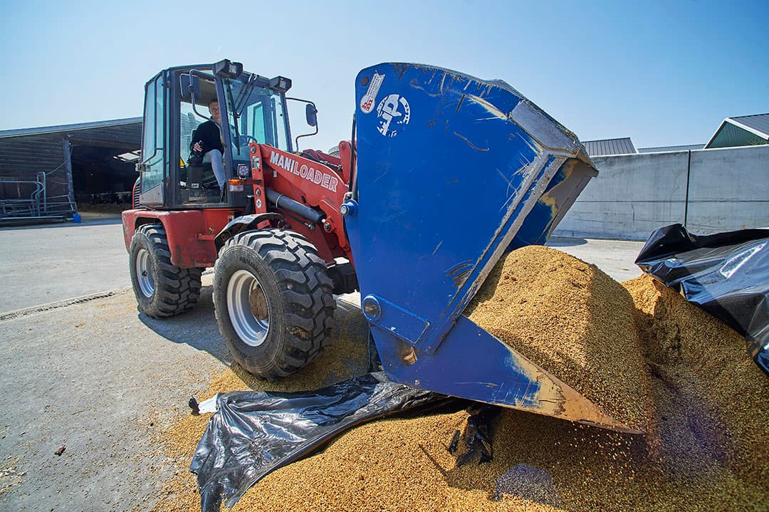 Bart Peer schept sodagrain uit de slurf in de bak van de shovel.