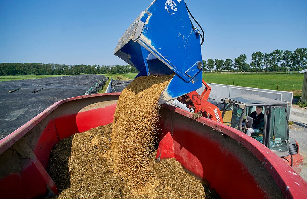 Het lossen van sodagrain in de voermengwagen. Peer vindt sodagrain een mooi product om hard op te melken met goede gehaltes, zeker samen met gefractioneerd vet.