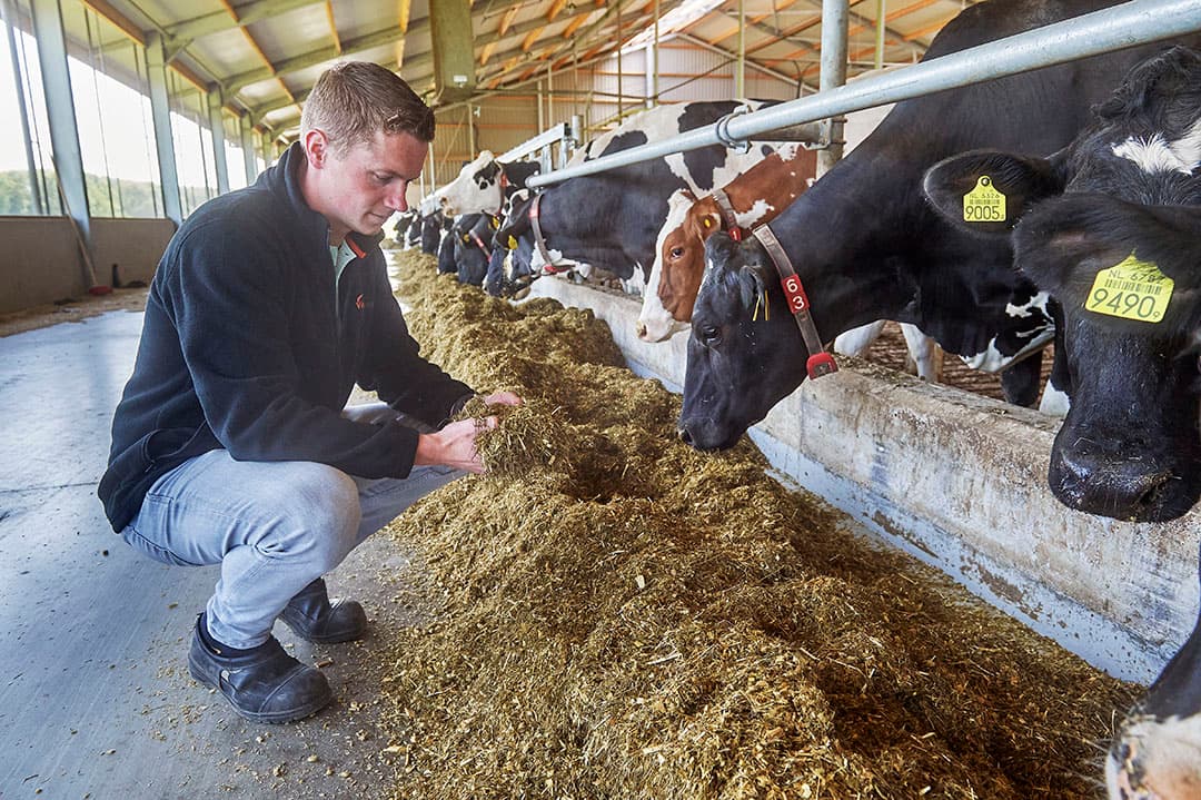 “Bij een hoger productieniveau is het belangrijk om voldoende energie in de koe te krijgen. Met vet toevoegen, lukt dat prima”, zegt Bart Peer.