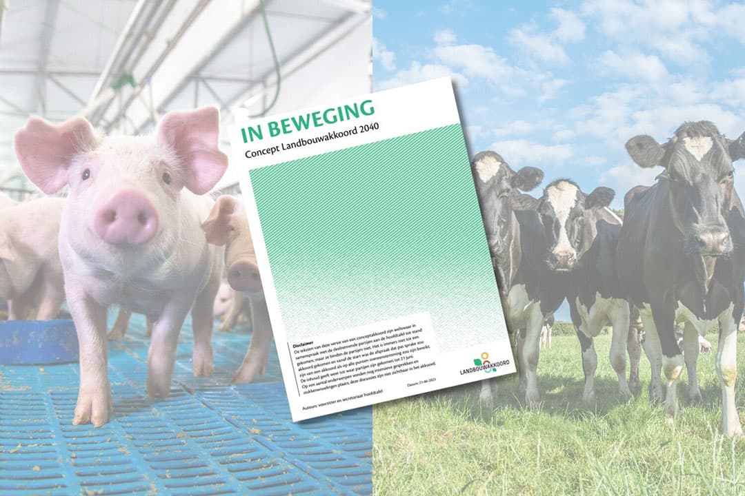 Volgens de onderhandelaars van het Landbouwakkoord zal de veestapel in Nederland naar verwachting met 25 tot 30% krimpen tegen 2035. Dit blijkt uit het vrijgegeven concept-Landbouwakkoord met de titel 'In Beweging'. - Afbeelding Canva en concept-Landbouwakkoord, beeldbewerking