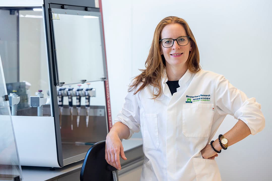 Linda Peeters (34) is hoofd van het nationaal referentielaboratorium voor Klassieke en Afrikaanse varkenspest, ziekte van Aujeszky en PRRS bij Wageningen Bioverterinary Research  (WBVR in Lelystad, onderdeel van Wageningen University & Research). In opdracht van de Nederlandse overheid voert WBVR diagnostiek, onderzoek, advisering en training uit ten behoeve van het vrijwaren en bestrijden van onder andere AVP in Nederland. - Foto: Koos Groenewold