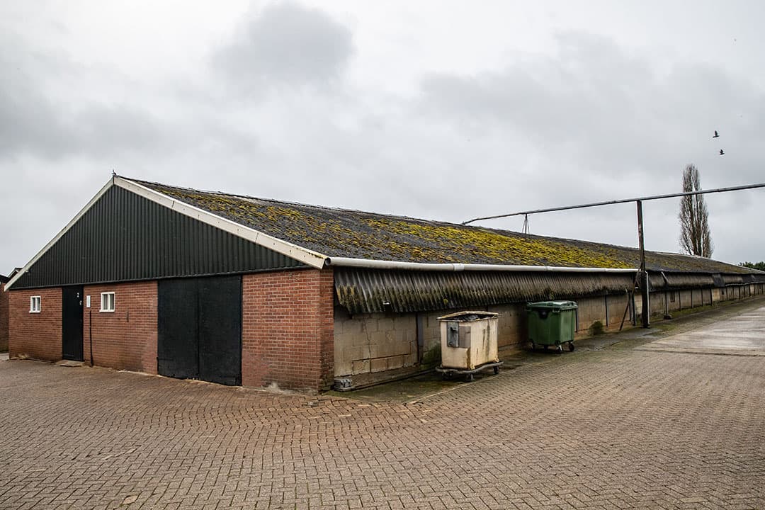 pluimveebedrijven met meer dan 40.000 kippen blijven vallen onder de richtlijn voor industriële emissies. - Foto: Ronald Hissink
