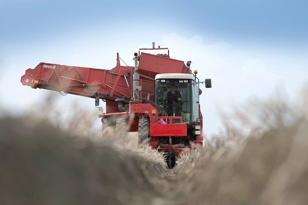 De vermindering van de bodemkwaliteit kost de Europese samenleving jaarlijks ‘ettelijke tientallen miljarden euro‘s’, becijfert de Europese Commissie. - Foto: Mark Pasveer