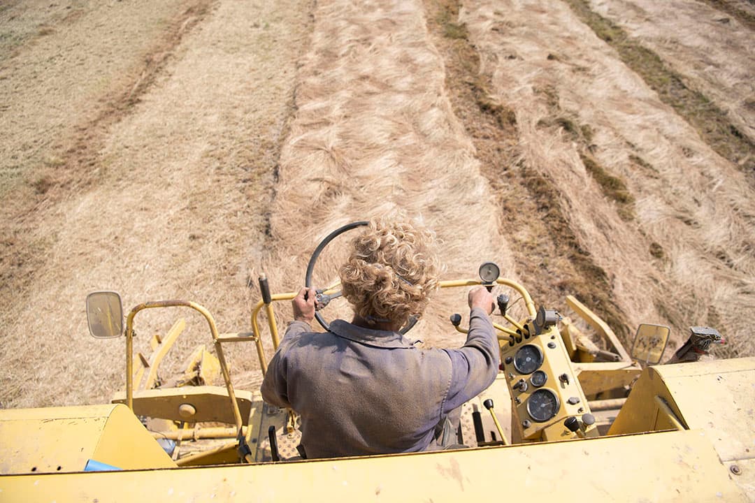 Veel boeren denken nog steeds dat het wel meevalt met de risico's van de zon. Ze dragen soms wel kleding met lange mouwen, maar smeren handen en gezicht vervolgens niet in. - Foto: Mark Pasveer