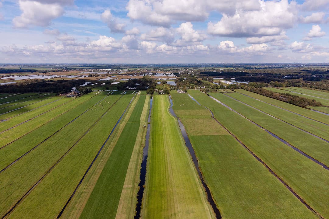 Boerenbedrijf aan de Meije bij de Nieuwkoopse Plassen. In de verte het Natura 2000 gebied Meije Graslanden. - Foto: Herbert Wiggerman