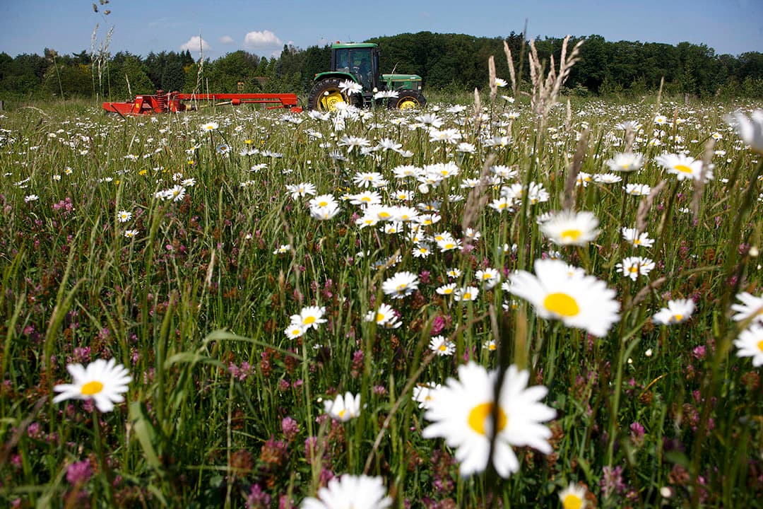 Cor Pierik: "De tijd is voorbij dat natuurorganisaties kunnen blijven vastzitten in het gedachtegoed van 'duizend bloemetjes laten bloeien' en dat we in de landbouw ons kunnen blijven focussen op productiviteitsstijging en intensivering." - Foto: Hans Prinsen