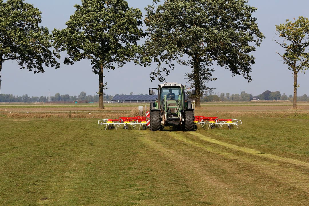 De gemiddelde grasopbrengst van alle Koeien & Kansen bedrijven nam met 16% af ten opzichte van 2021. - Foto: Henk Riswick