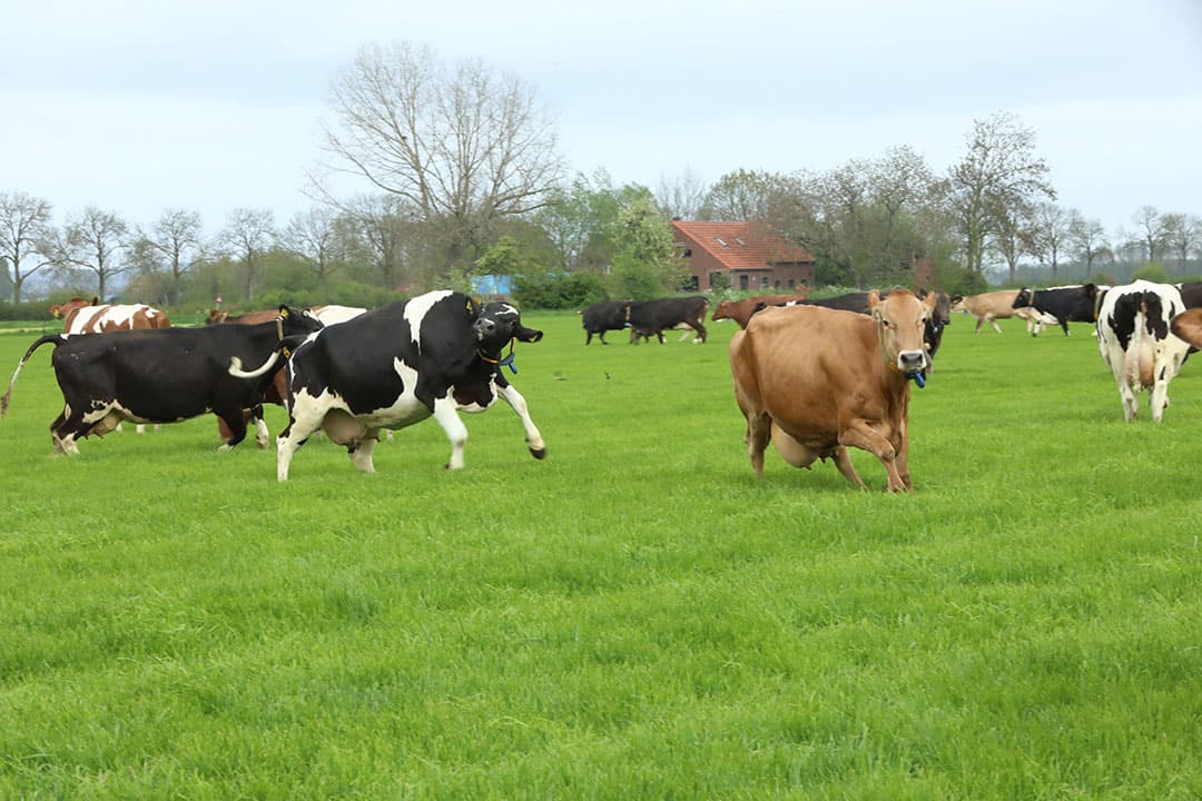transitiefonds landelijk gebied
