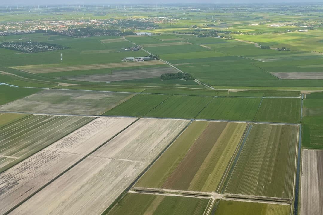 In de afgelopen tien jaar zijn maximaal 700 landbouwpercelen opgesplitst in bijna 10 miljoen kleinere percelen volgens cijfers van CBS op basis van Kadaster-data. - Foto: Martijn ter Horst