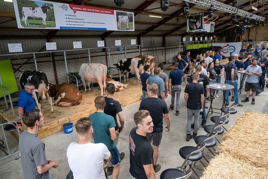 De diverse workshops worden goed bezocht. We zijn bij K.I. Samen te gast. Dus ook genoeg te zien en op te steken over fokkerij en al haar aspecten.