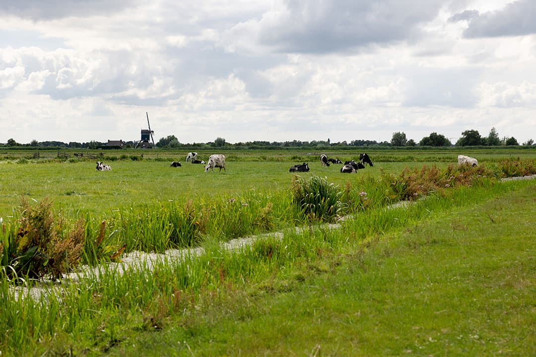 Foto: Herbert Wiggerman