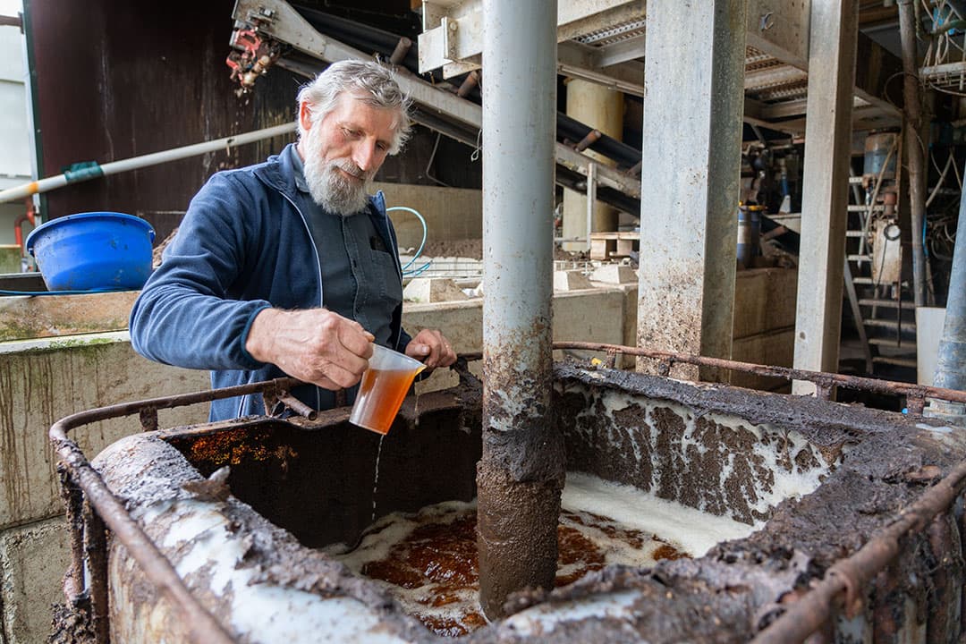 De dunne fractie is geurloos en vrij van stikstof en fosfaat. Het water is alleen bruin vanwege de humuszuren en zouten.