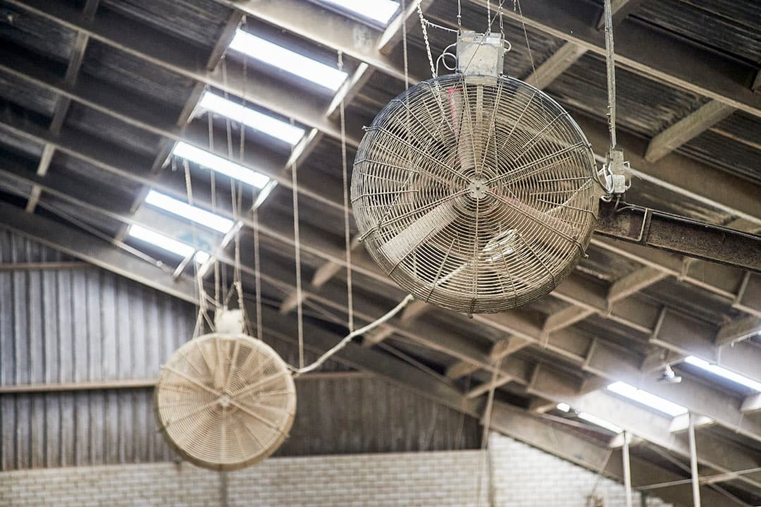 De ventilatoren in de ligboxenstal zorgen voor een fris, prettig en vooral constant stalklimaat.