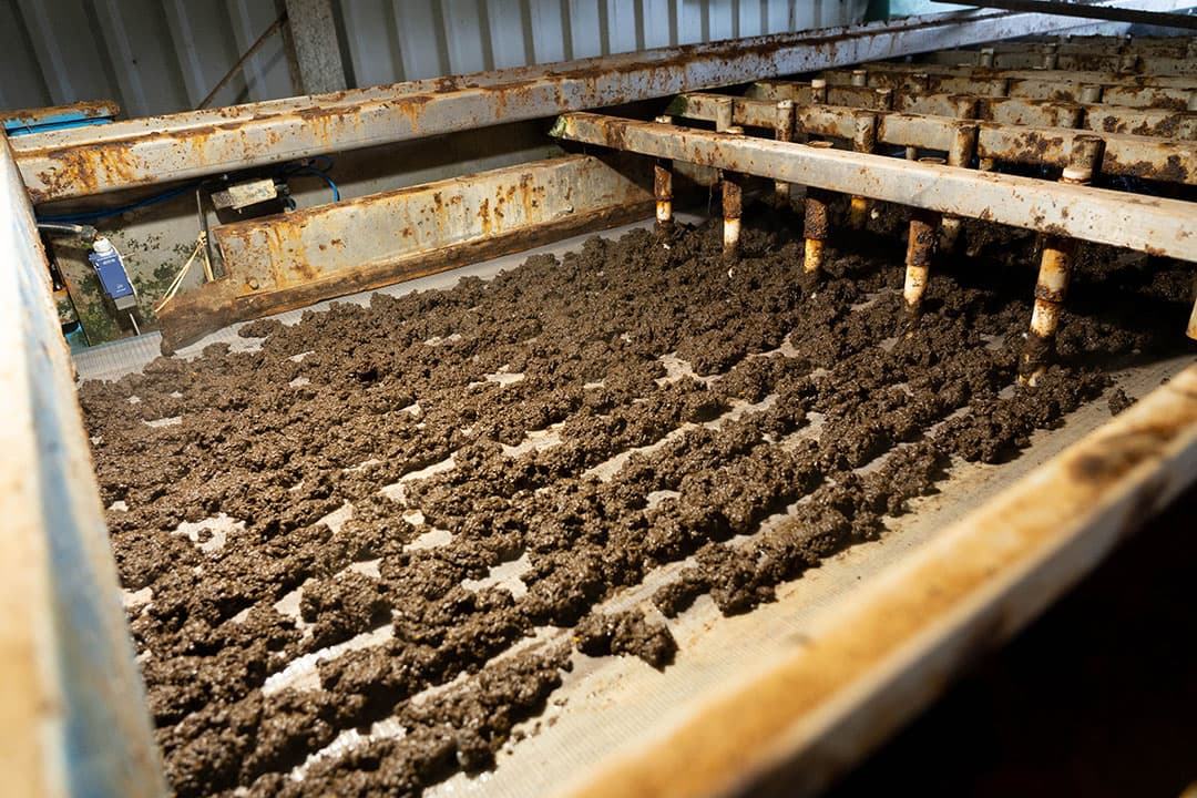 Hier is al 90% van het water in een afvoerbak verdwenen. De dikke fractie moet nog wel geperst worden. De 10% water die daar dan bij vrijkomt, gaat terug de ‘biologie’ in.