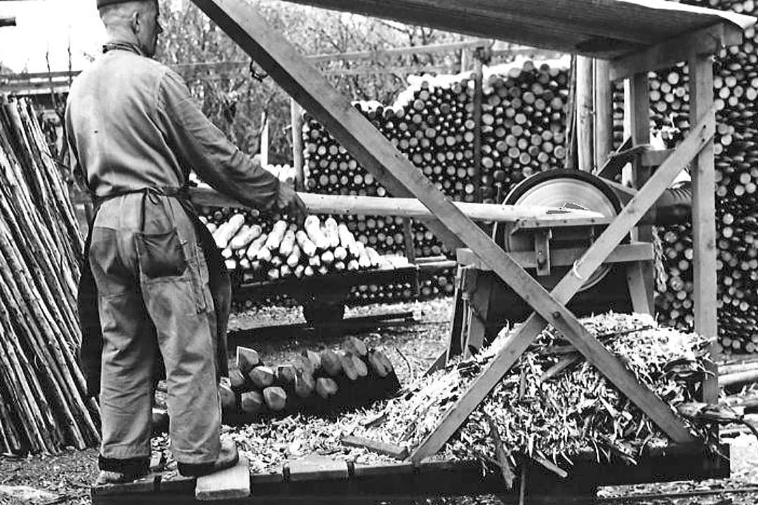 In de jaren ’60 van de vorige eeuw was bosbouw een serieuze bedrijfstak in Nederland. Veel naaldhout werd verwerkt tot weidepalen. En wie populieren had, kon die kwijt aan een klompenmakerij. - Foto: Misset