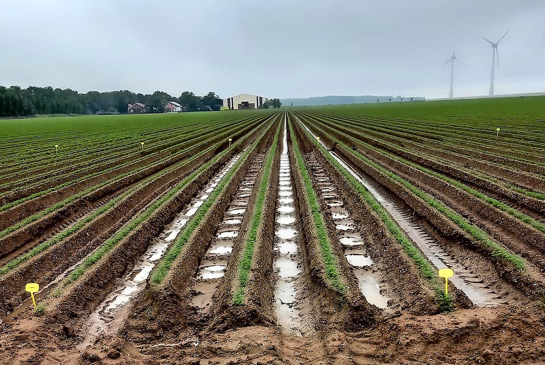 De afgelopen twee jaar zijn verschillende manieren om afspoelen tegen te gaan beproefd en is er voor het eerst gemeten hoeveel water daadwerkelijke afspoelt. Ook grondsoort heeft invloed.