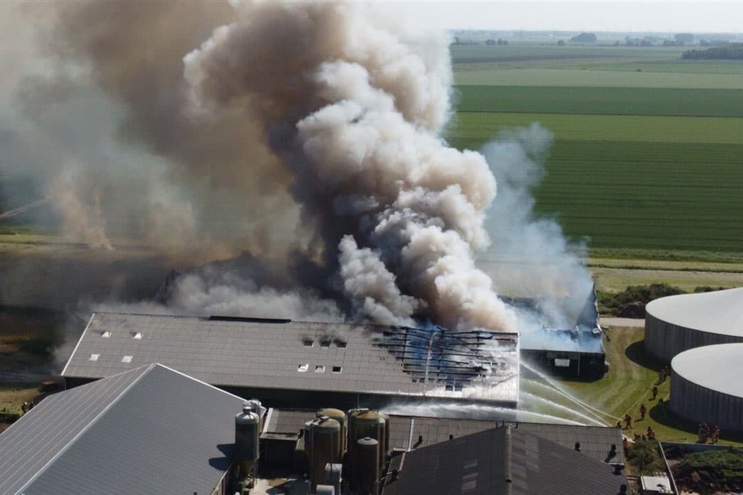 De brand is bij het bedrijf Hamletz van Annechien ten Have. - Foto: ANP