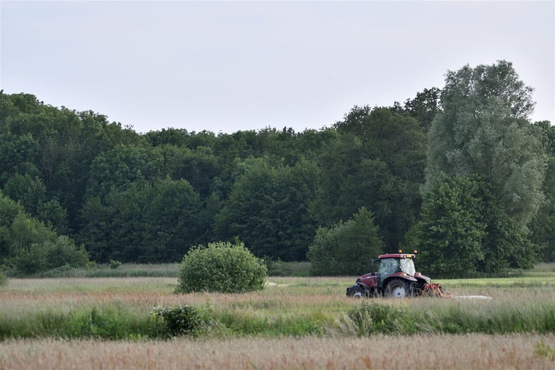 Een boer is aan het maaien in een natuurgebied. De Natuurherstelwet is een wetgevend initiatief dat tot doel heeft het herstel en behoud van natuurlijke ecosystemen en biodiversiteit te bevorderen. - Foto: ANP