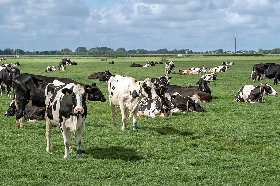 gebiedsplannen Noord-Holland