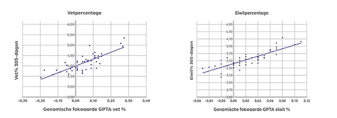 Vet- en eiwitpercentage: de stijgende lijn laat zien dat dieren met een hoge fokwaarde voor %vet en %eiwit ook werkelijk hogere gehaltes produceren.