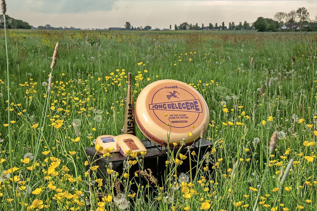 De kazen van De Fryske liggen onder meer in de schappen bij Plus en Albert Heijn. - Foto: De Fryske