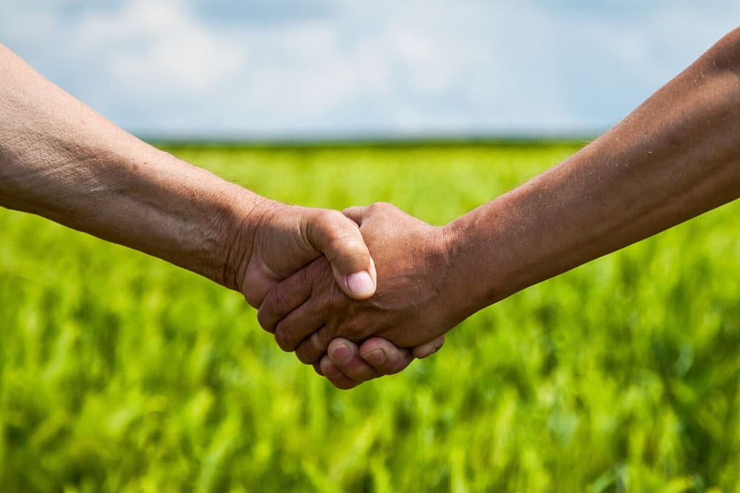 Een nieuw pachtakkoord is in de maak. - Foto: Canva