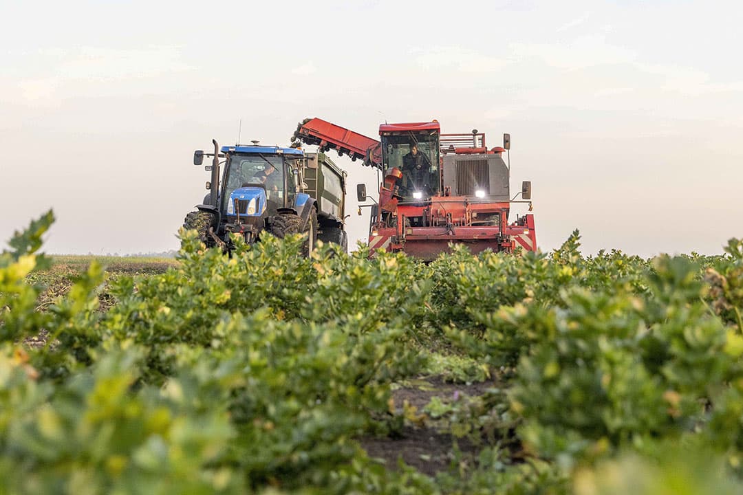 biologische landbouw rekenkamer
