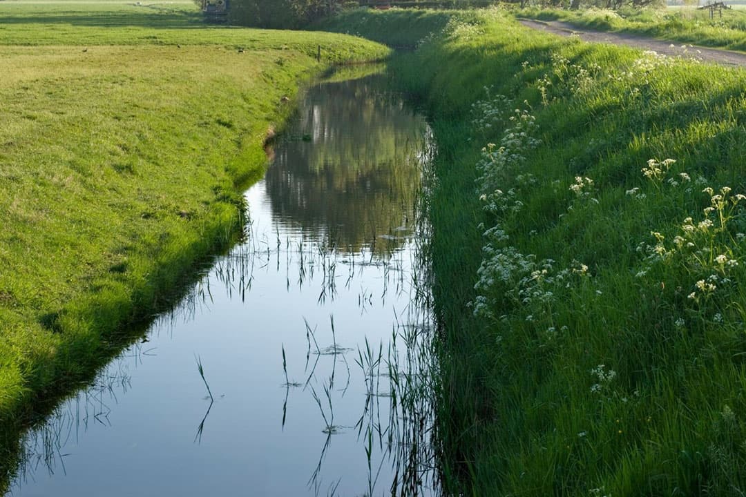 Het Provinciaal Programma Landelijk Gebied vormt de basis voor het provinciaal beleid en de uitvoering van projecten en initiatieven in het landelijk gebied. - Foto: Canva