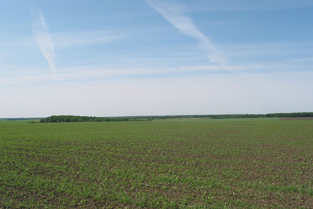graanprijzen