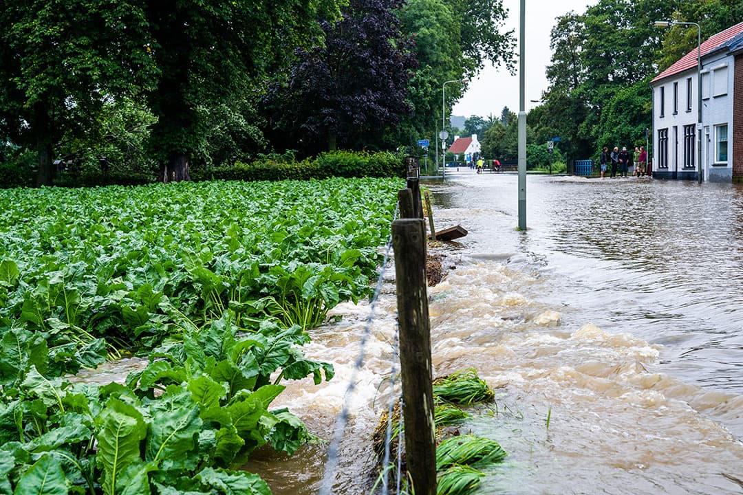 weersverzekering