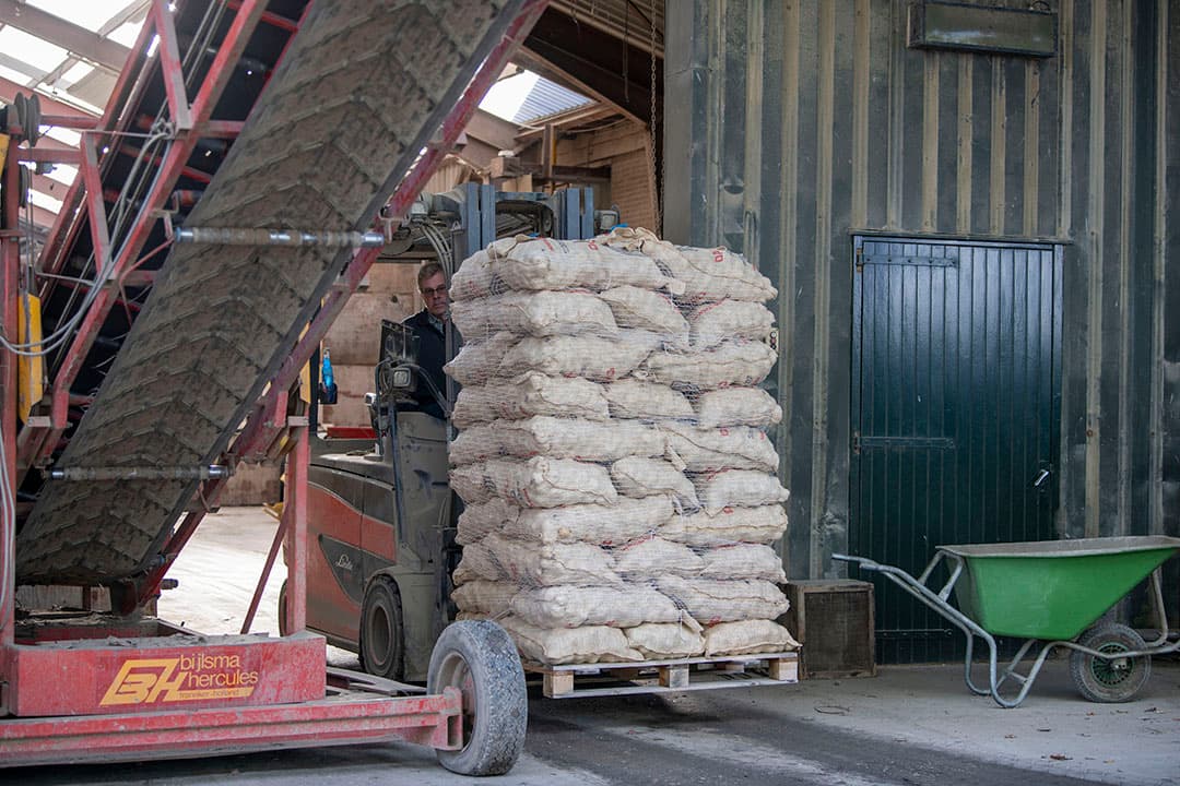 Laden van pootgoed voor de export. - Foto: Mark Pasveer
