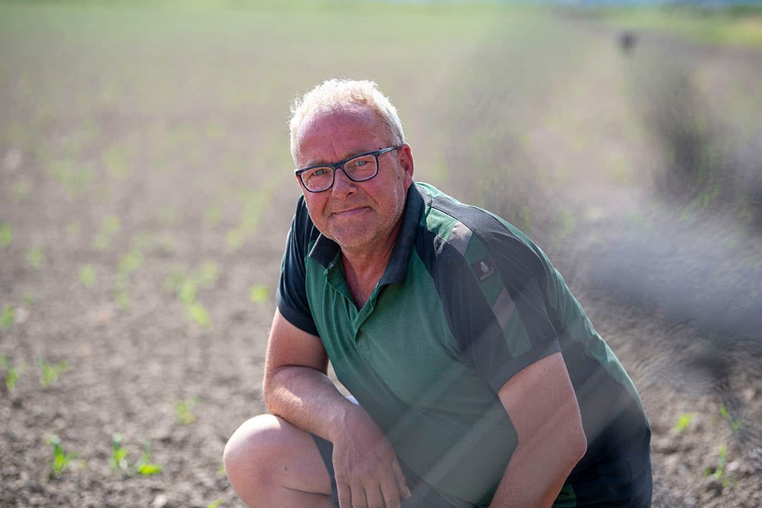 Leo Giessen (62) helpt in Nagele (Fl.) zijn zoon Eric nog regelmatig. Eerder hadden zij de boerderij samen in maatschap. - Foto: Mark Pasveer