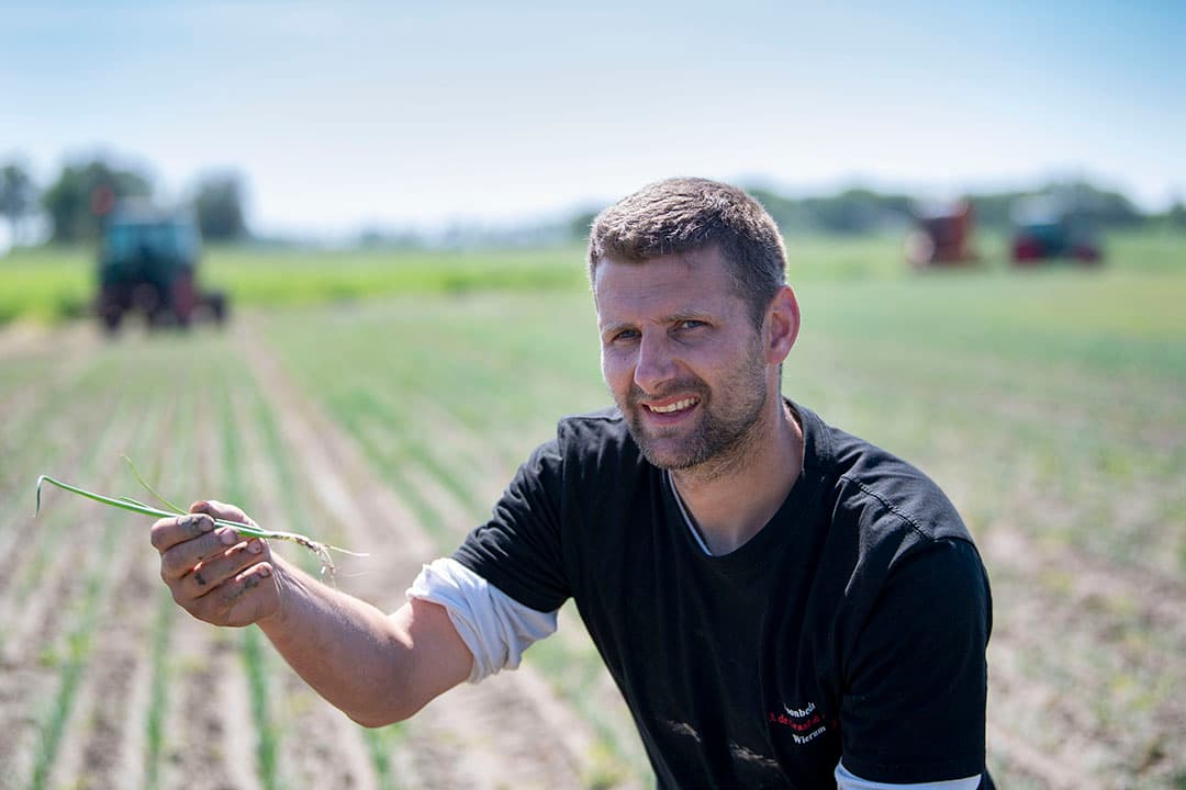 Hans Anema (37) teelt in Nes (Fr.) vooral pootaardappelen, maar ook zaaiuien. De eerste bui regen krijgen ze vooral om het gewas gewoon een beetje op te frissen. - Foto: Mark Pasveer